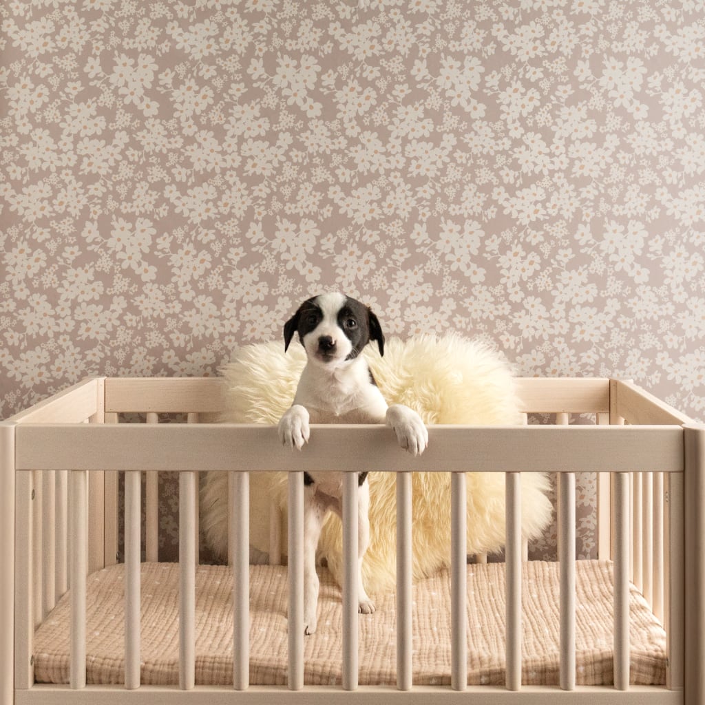 Image of Poppy in Mauve Wallpaper