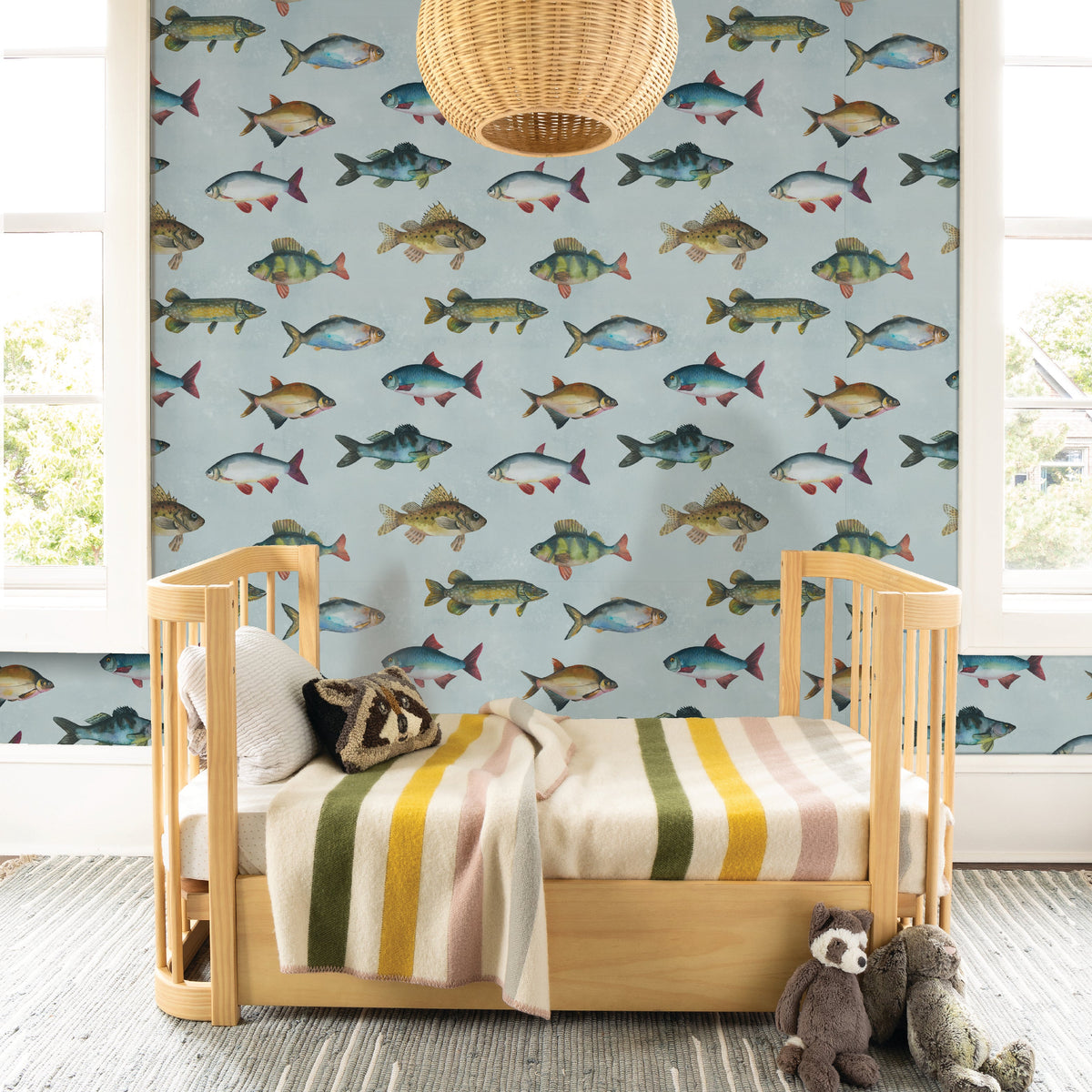 Image of Freshwater Fish in Multi wallpaper