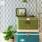 Image of Dot Dash in Olive Wallpaper