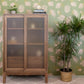 Image of Warri Palms in Dried Basil Wallpaper