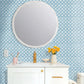 Image of Samara in Light Blue Wallpaper