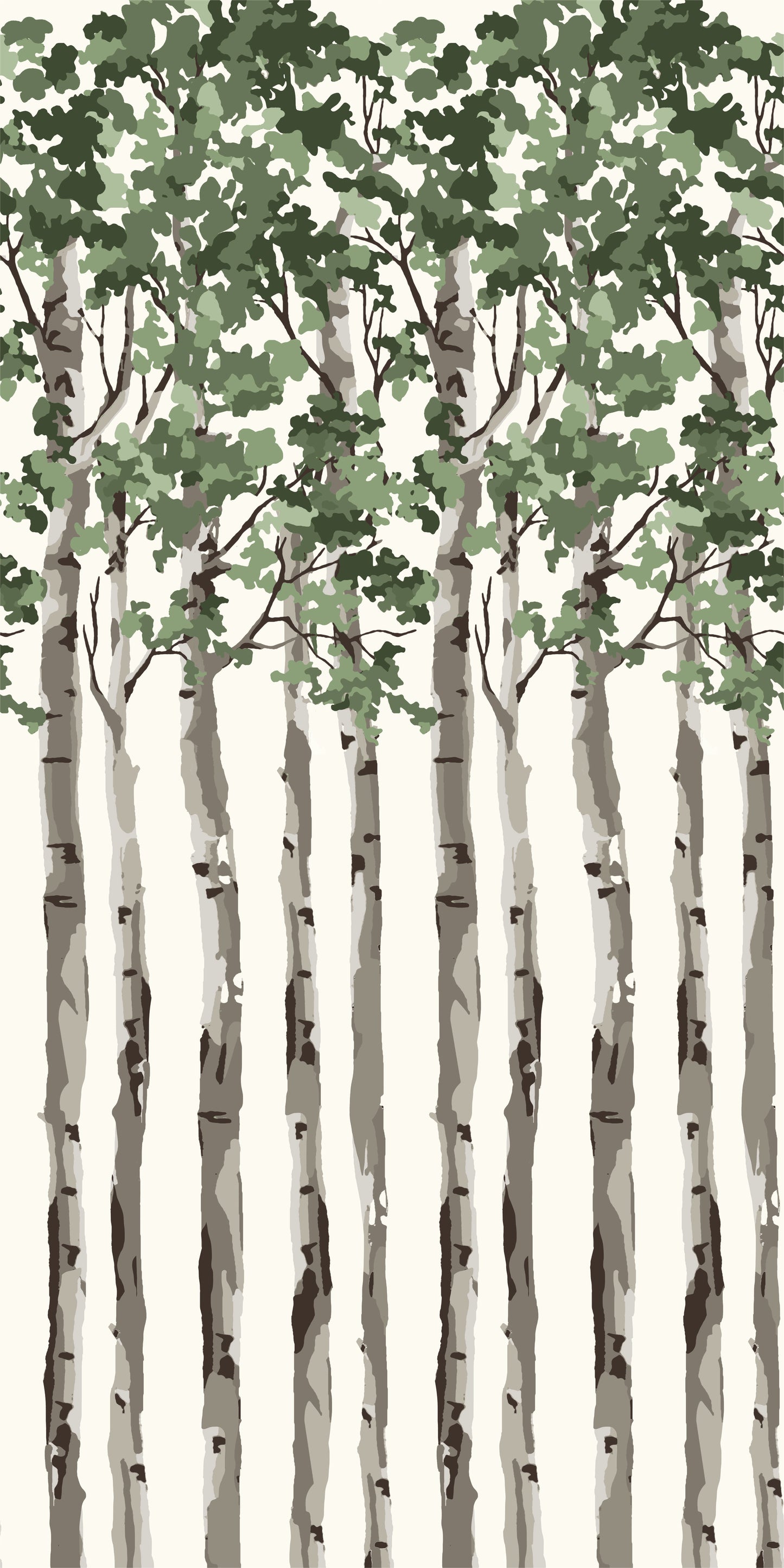 Image of Birch Tree in Green Wallpaper