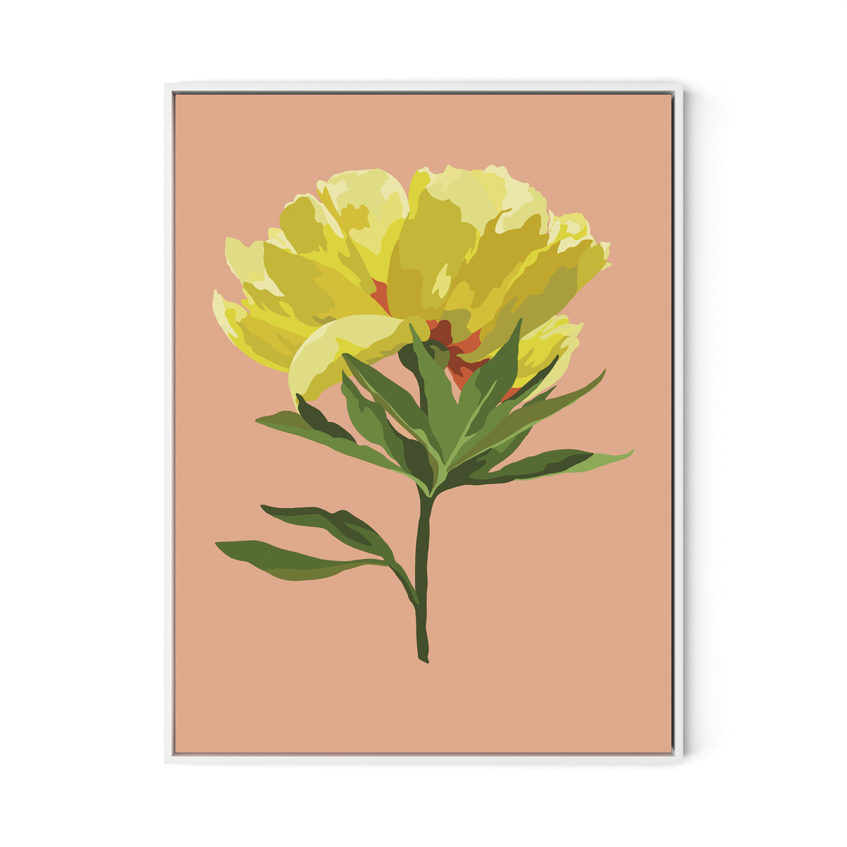 Peony