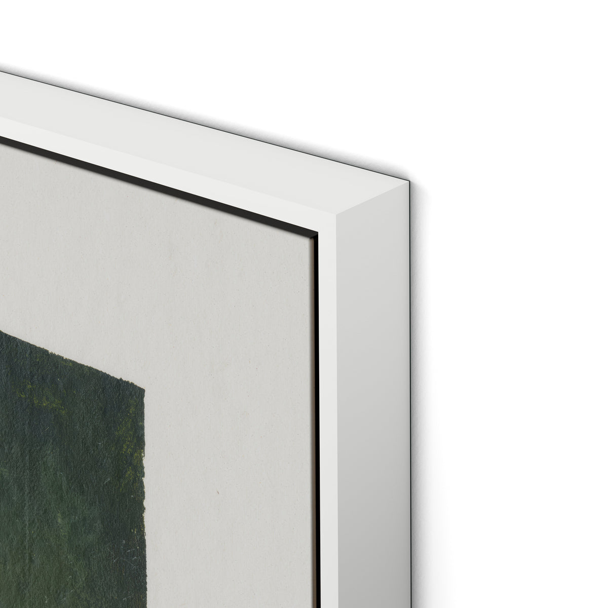 Wildflower Constellations XIX with border Canvas Floater Framed / 32 x 24 in / White