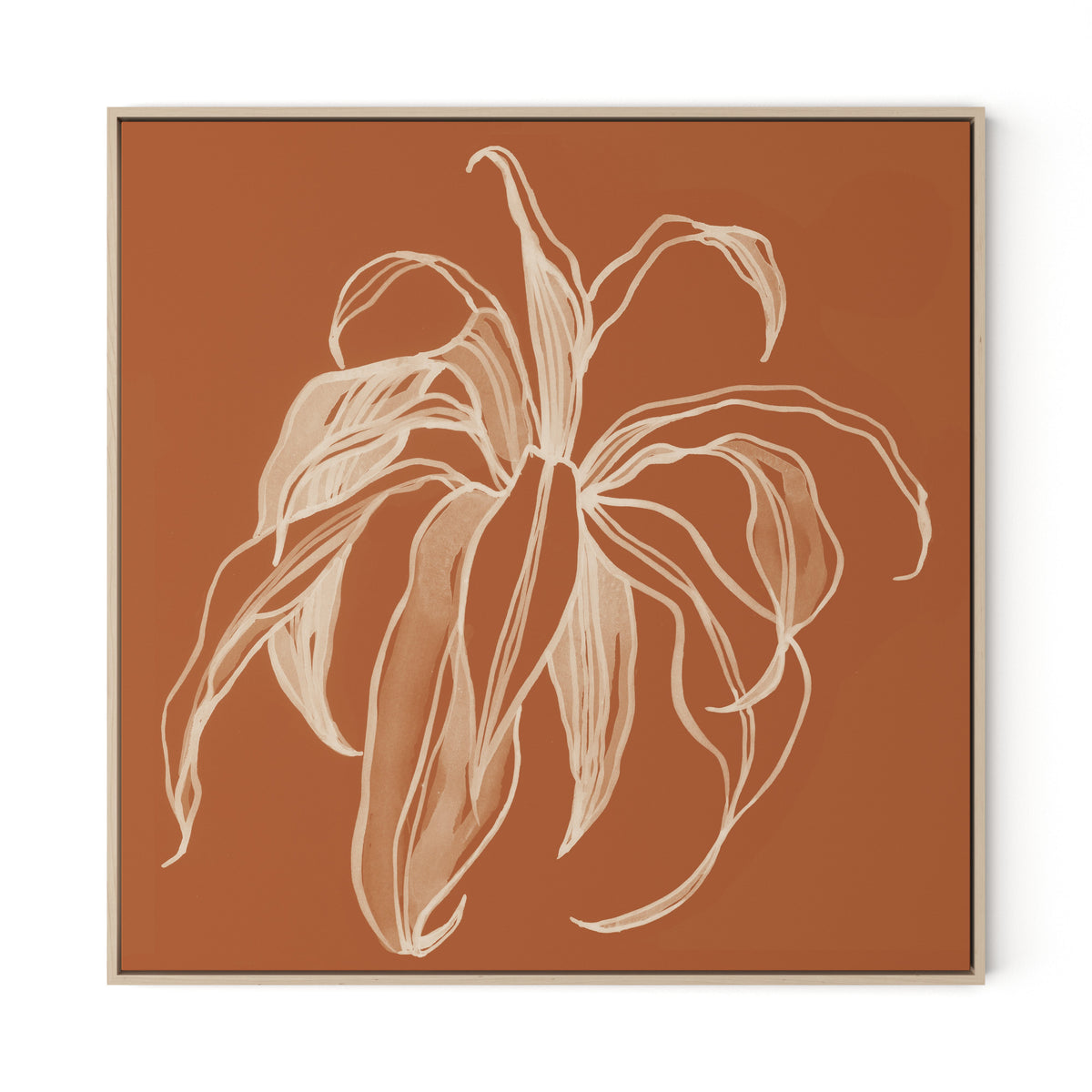 Dracaena Terracotta Canvas Floater Framed / 32 x 32 in / Natural Maple