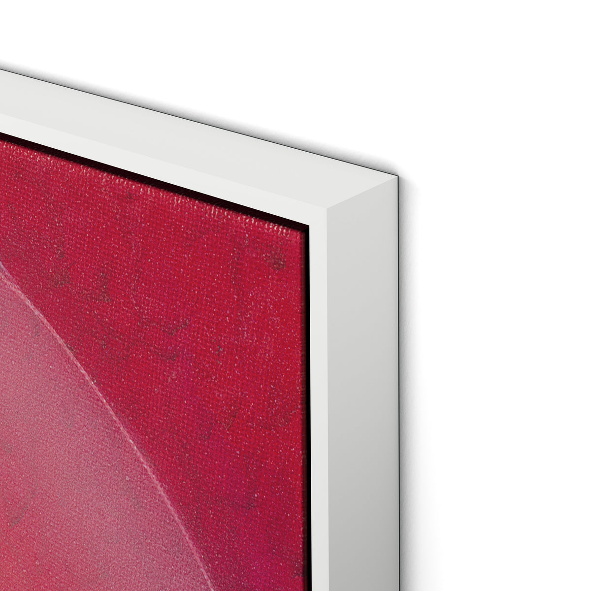 Rose III Canvas Floater Framed / 32 x 32 in / White