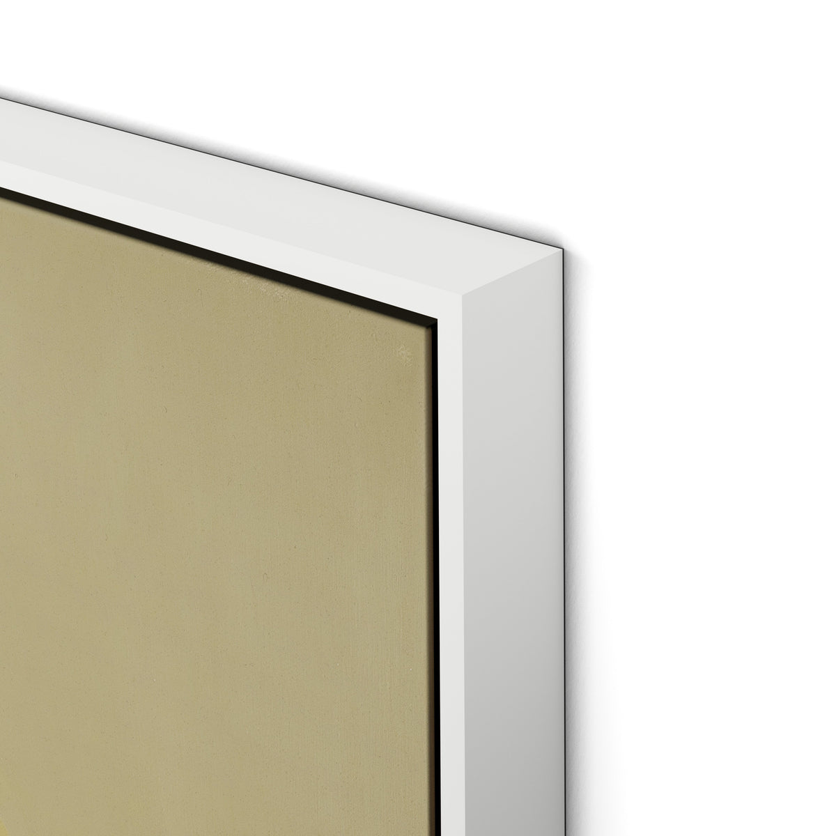 Evergreen II Canvas Floater Framed / 24 x 32 in / White
