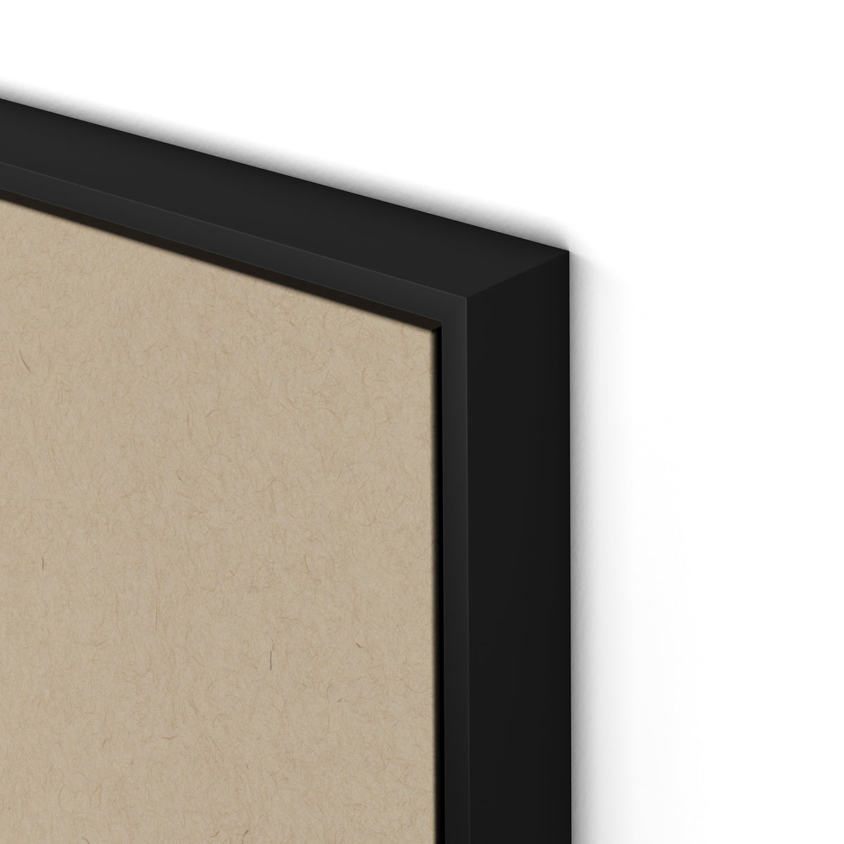 Botanical V Canvas Floater Framed / 24 x 32 in / Black
