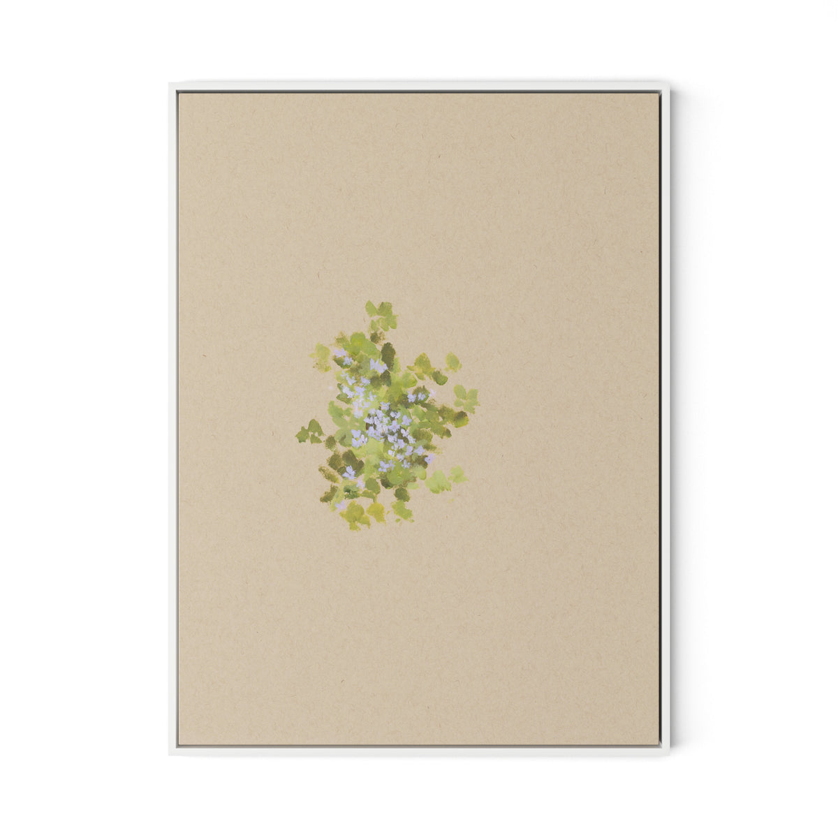 Botanical V Canvas Floater Framed / 24 x 32 in / White