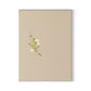 Botanical I Canvas Floater Framed / 24 x 32 in / White