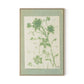 Sage Meadow Rue II Canvas Floater Framed / 21.5 x 32 in / Natural Maple