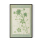 Sage Meadow Rue II Canvas Floater Framed / 21.5 x 32 in / Black