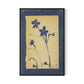 Vintage Blue Daisy Canvas Floater Framed / 21.5 x 32 in / Black