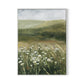 Daisy Field Canvas Floater Framed / 24 x 32 in / White