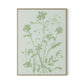 Sage Cosmos Canvas Floater Framed / 24 x 32 in / Natural Maple