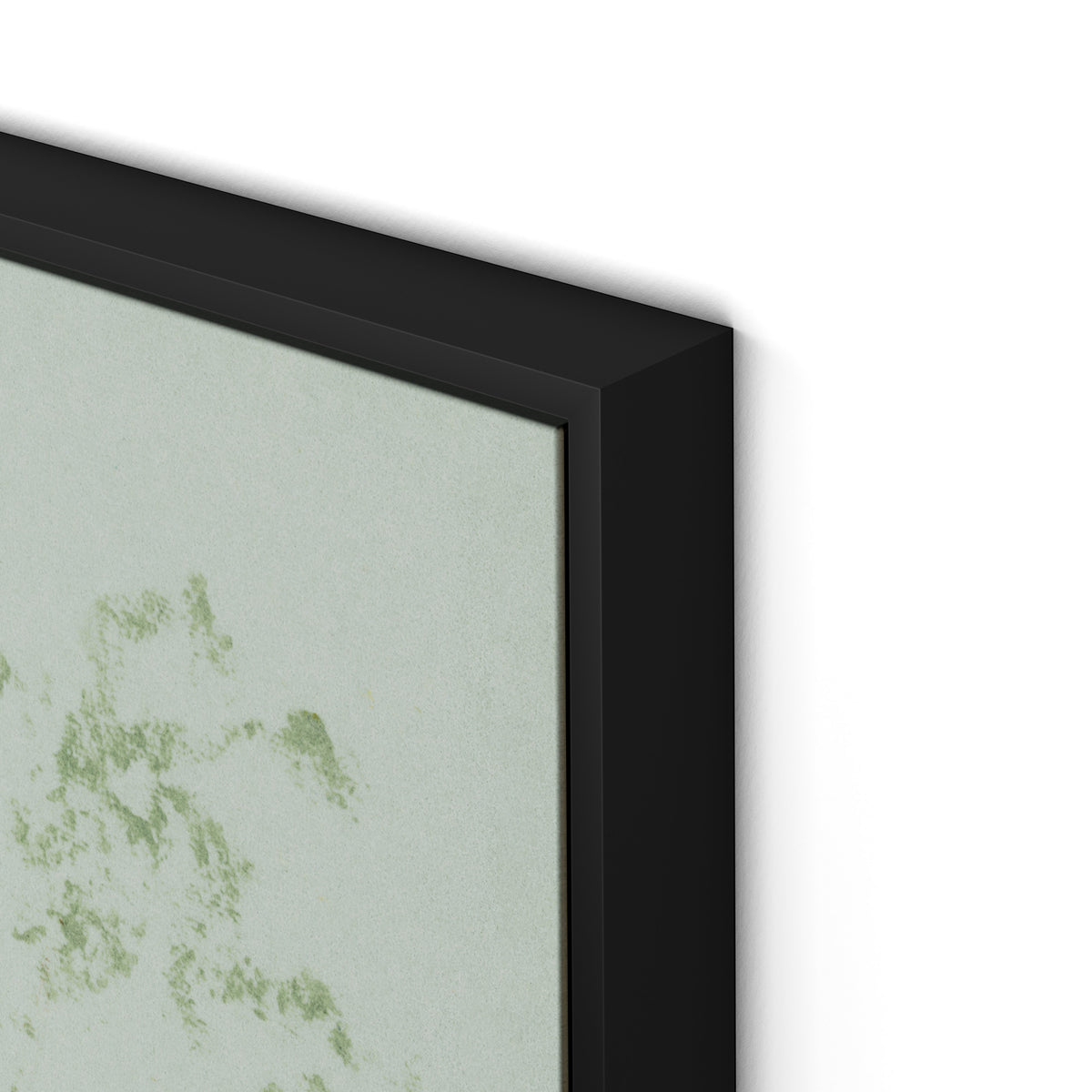 Sage Cosmos Canvas Floater Framed / 24 x 32 in / Black