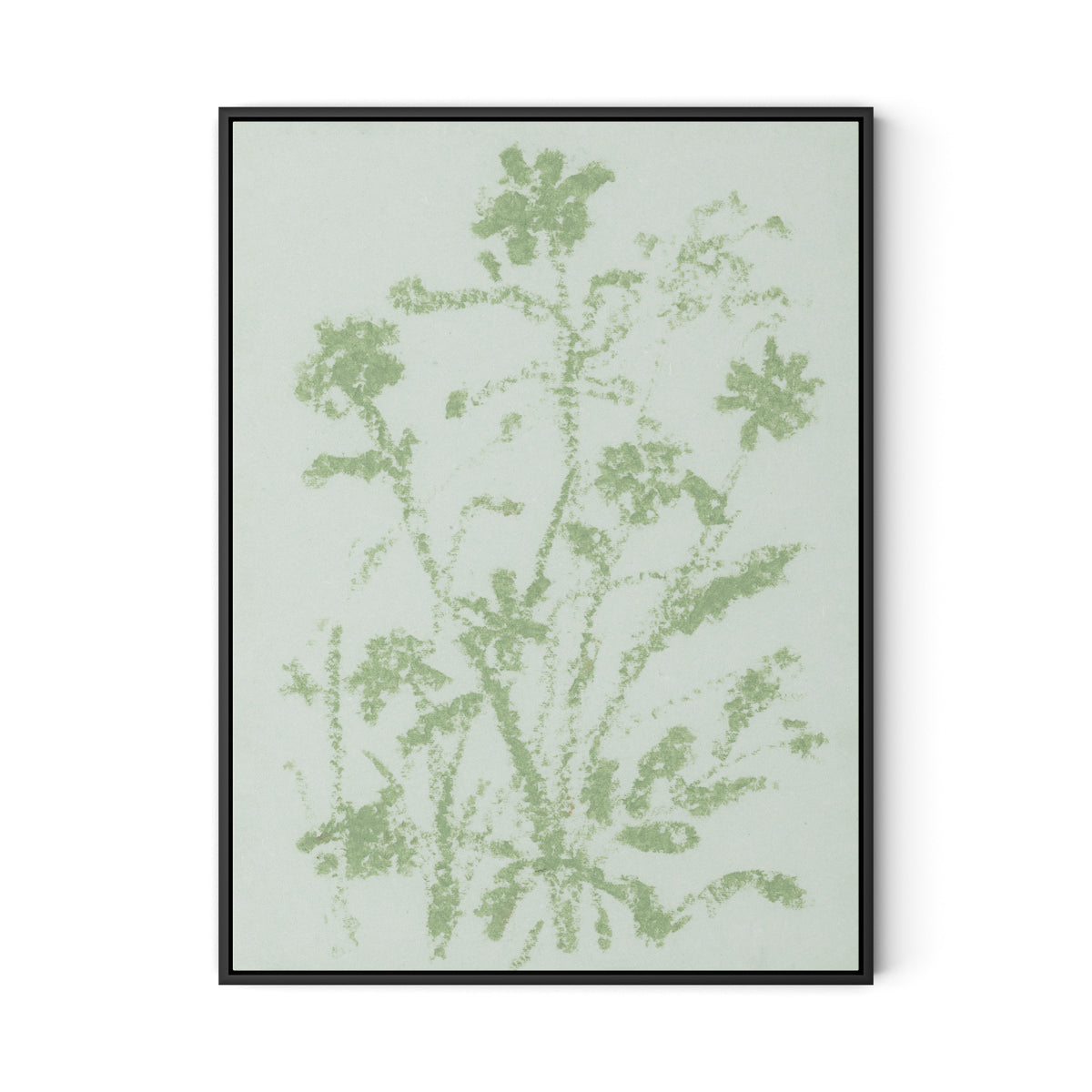 Sage Cosmos Canvas Floater Framed / 24 x 32 in / Black