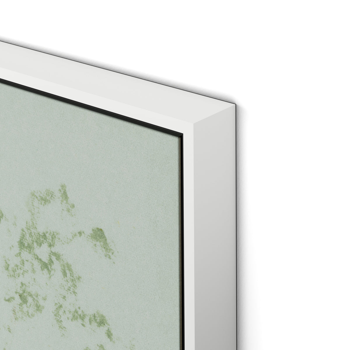 Sage Cosmos Canvas Floater Framed / 24 x 32 in / White