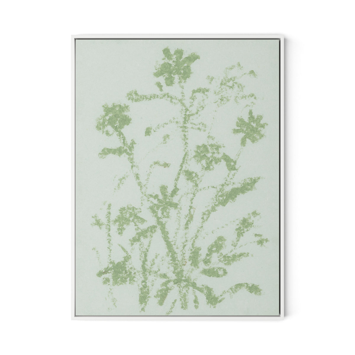Sage Cosmos Canvas Floater Framed / 24 x 32 in / White
