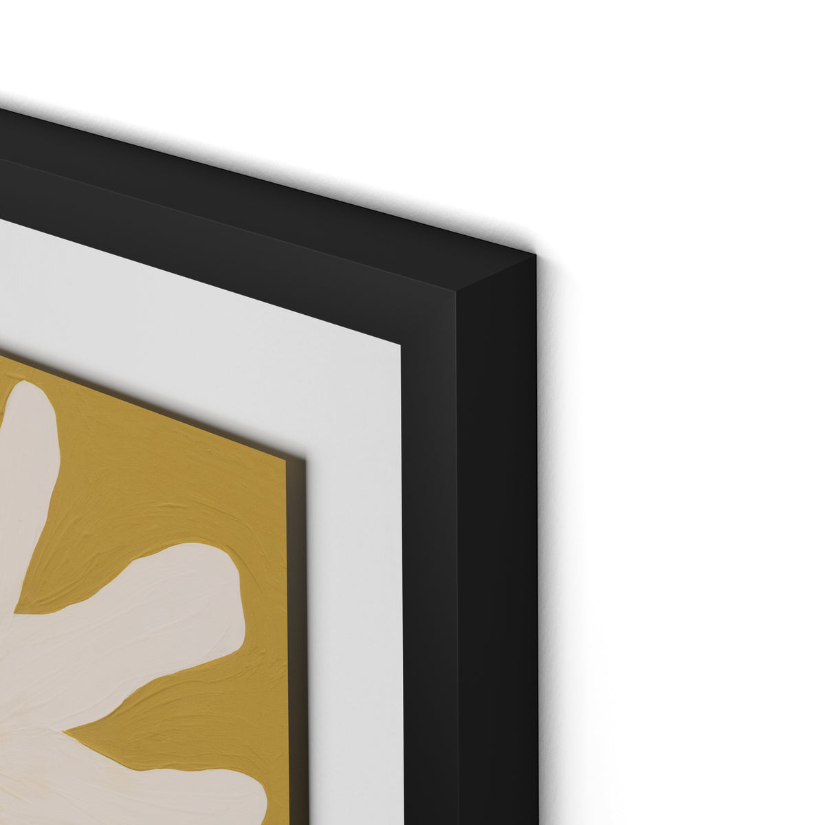 Daisies