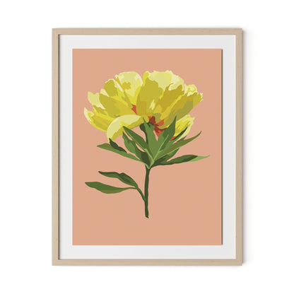 Peony