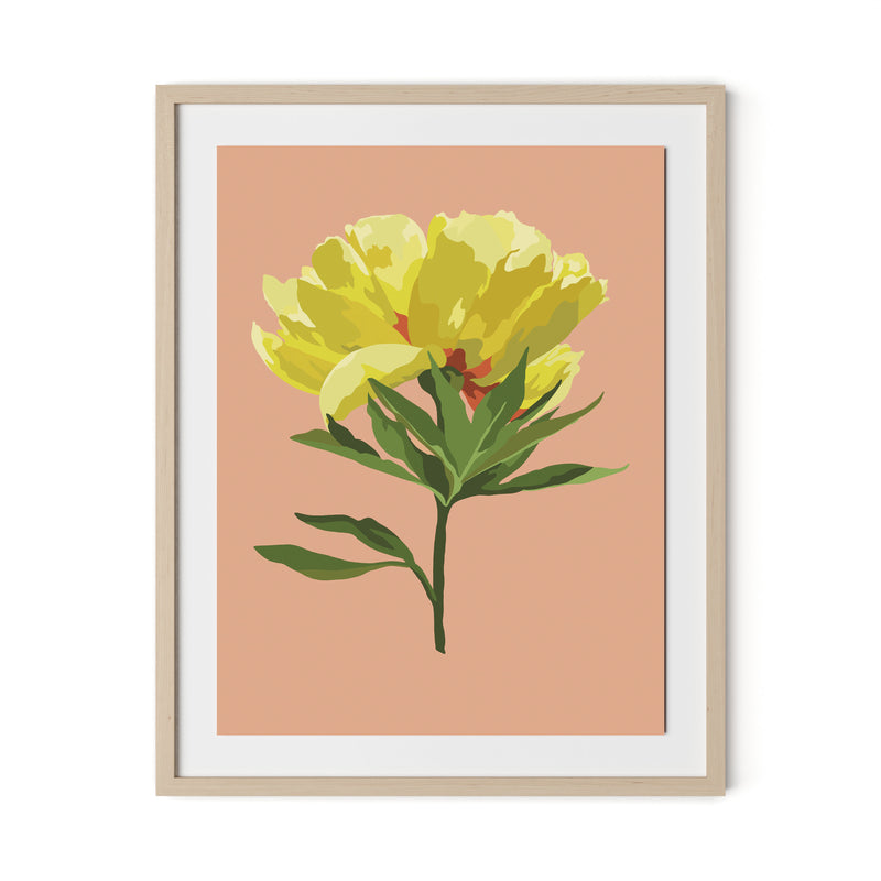Peony