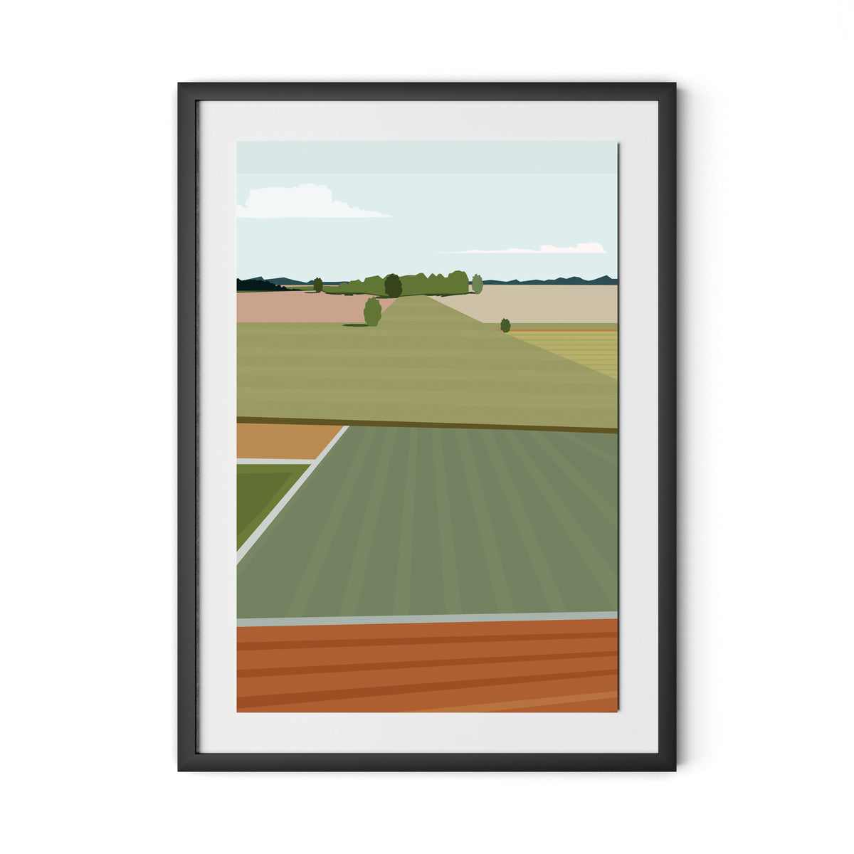 Fields