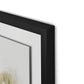 Hayden Framed Paper / 32 x 32 in / Black