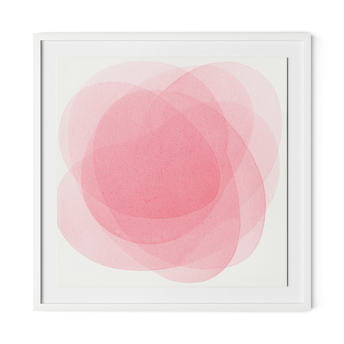Rose I Framed Paper / 32 x 32 in / White