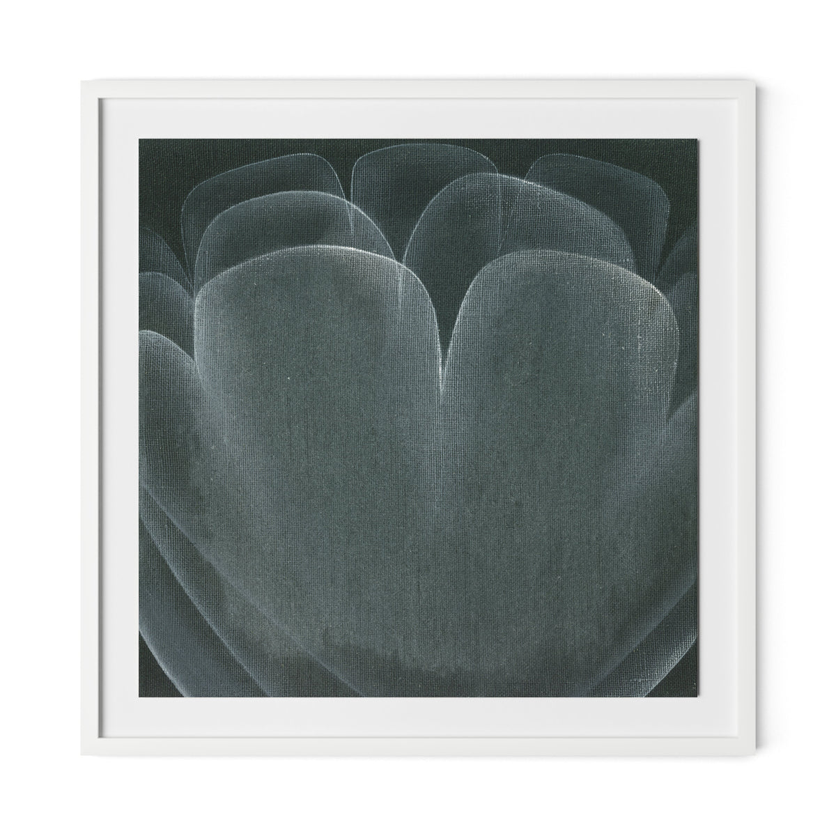 Shadows II Framed Paper / 32 x 32 in / White