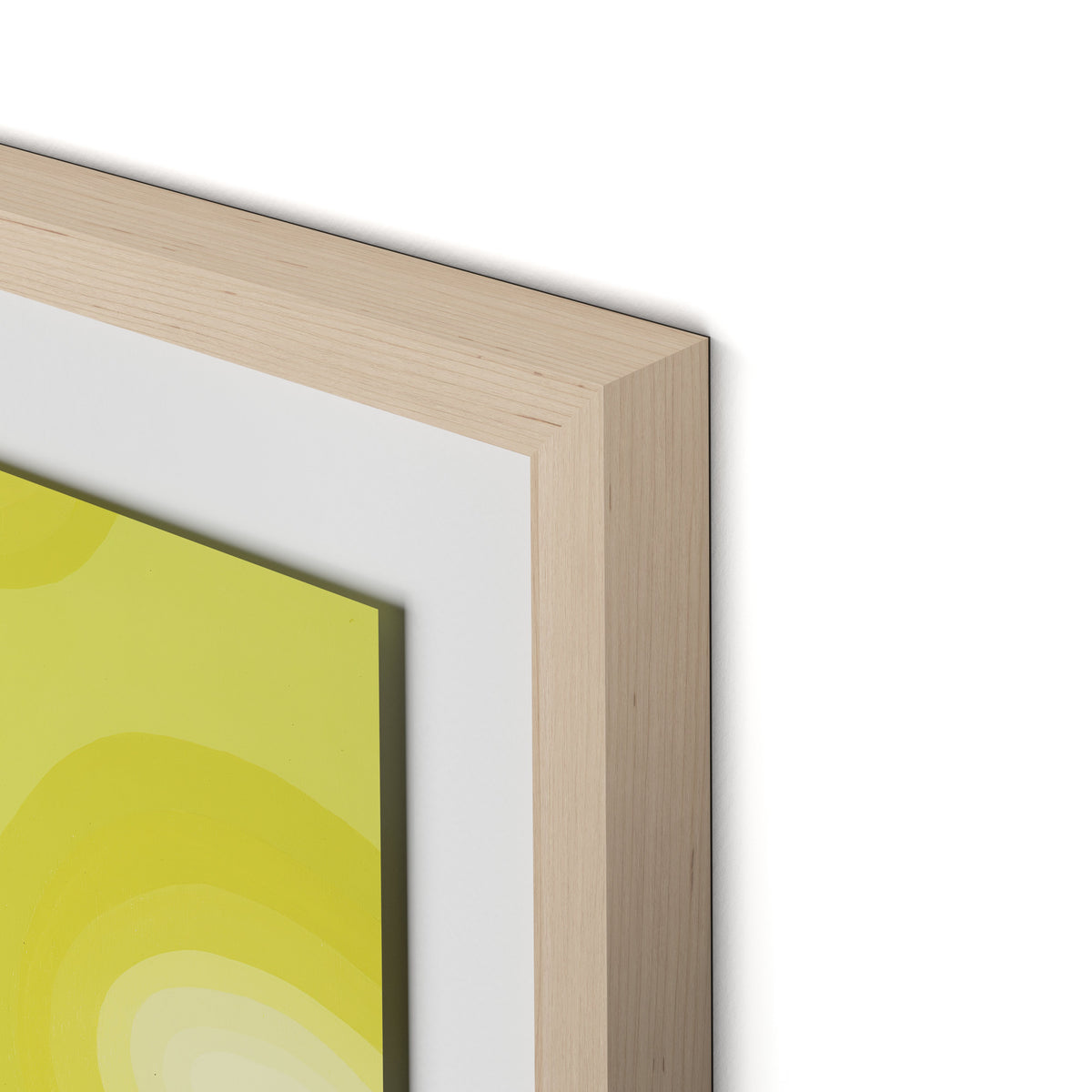 Citrus Rounds Framed Paper / 20.5 x 32 in / Natural Maple