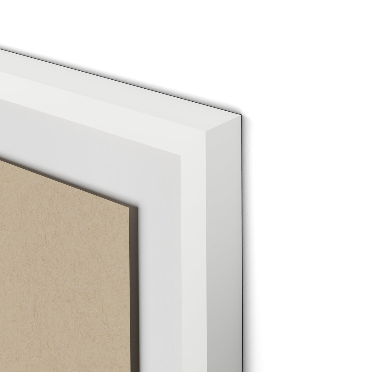 Botanical V Framed Paper / 24 x 32 in / White