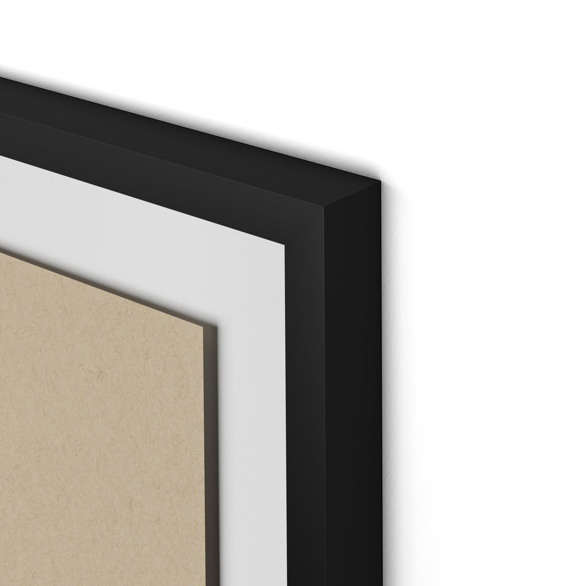 Botanical II Framed Paper / 24 x 32 in / Black