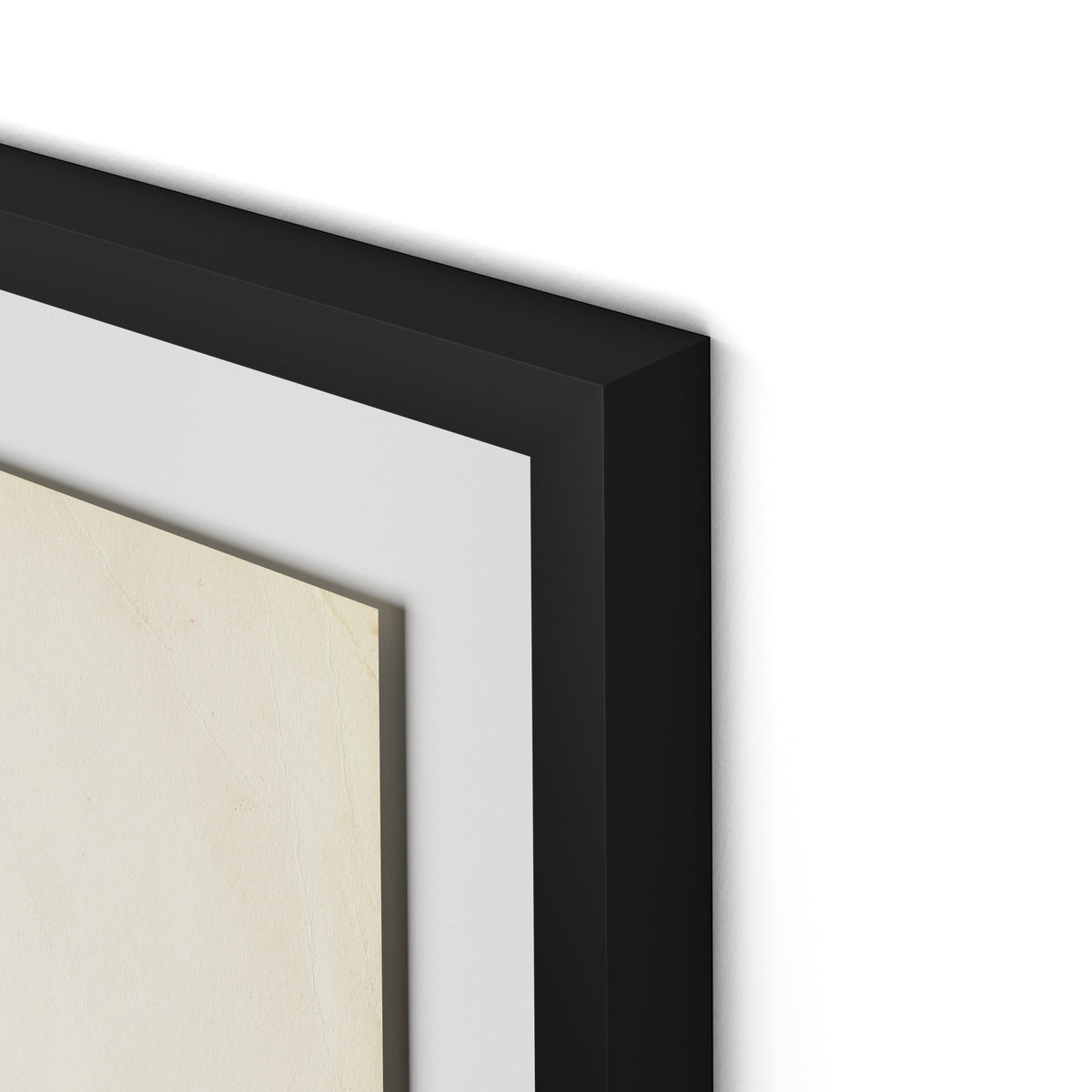 Meadow Rue 2 Framed Paper / 24 x 32 in / Black