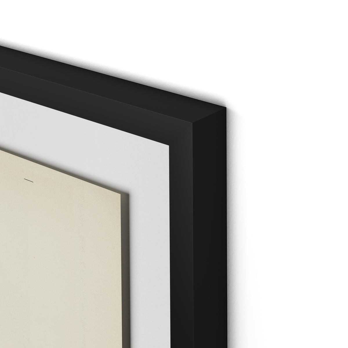 Marguerite Bleue Framed Paper / 24 x 32 in / Black