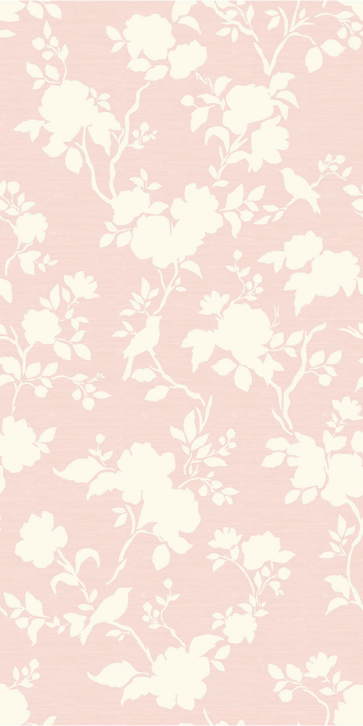 Image of Camellia Bloom in Pink Wallpaper