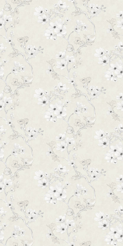 Image of Cherry Blossom in Cream Wallpaper