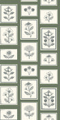 Forest -- 707C62
