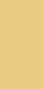 Golden Glow -- E3CB8B