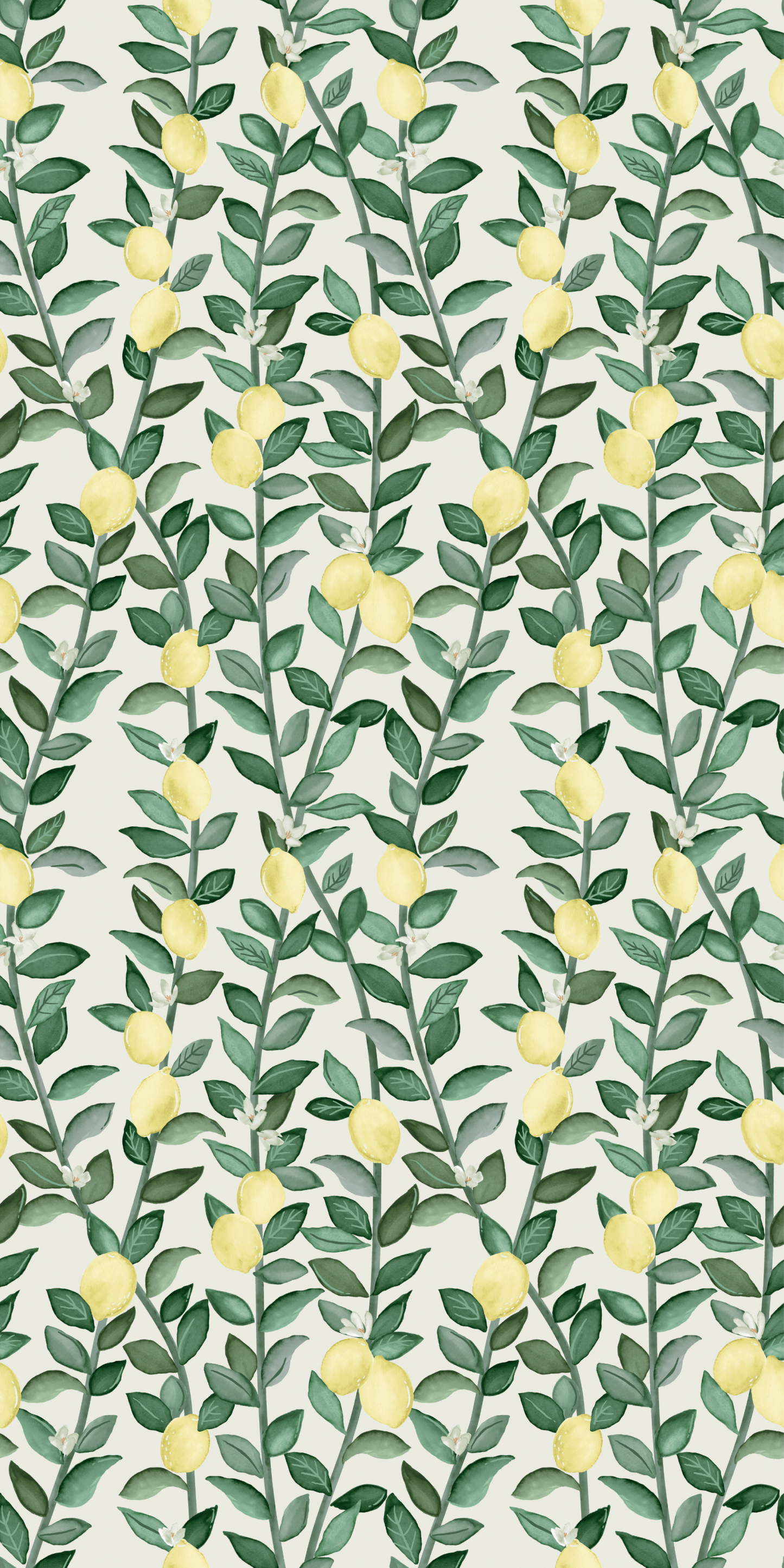 Lemons in Daytime Wallpaper