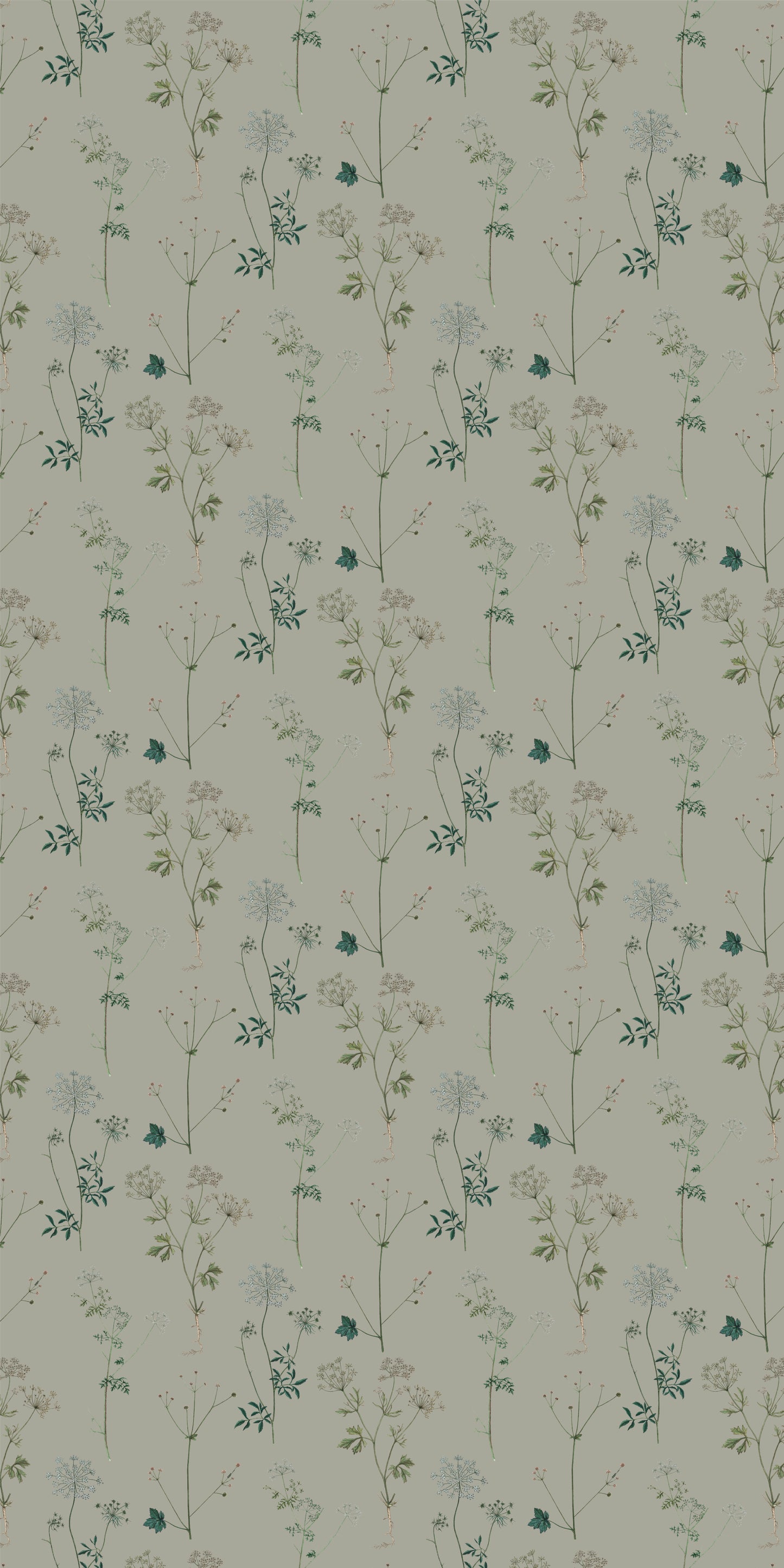 Image of Lace in Sage Wallpaper