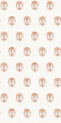 Terracotta -- D18E6E