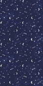 Navy -- 1D1F3C