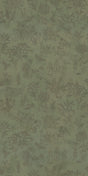 Lichen -- 7E806A