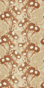 Ginger -- 8A654A