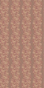 Orchid -- 937768