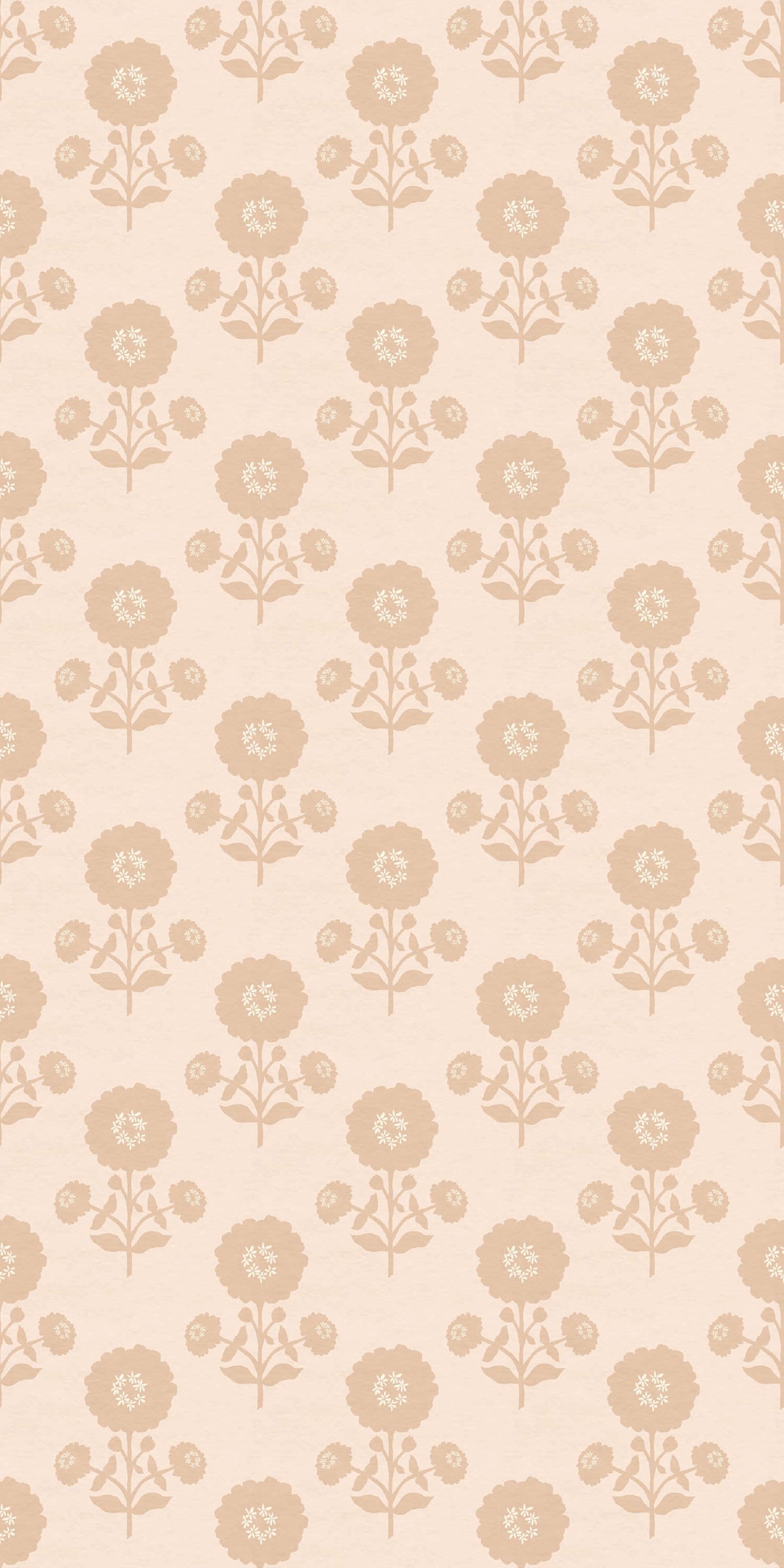 Image of Zinnia in Blush Wallpaper