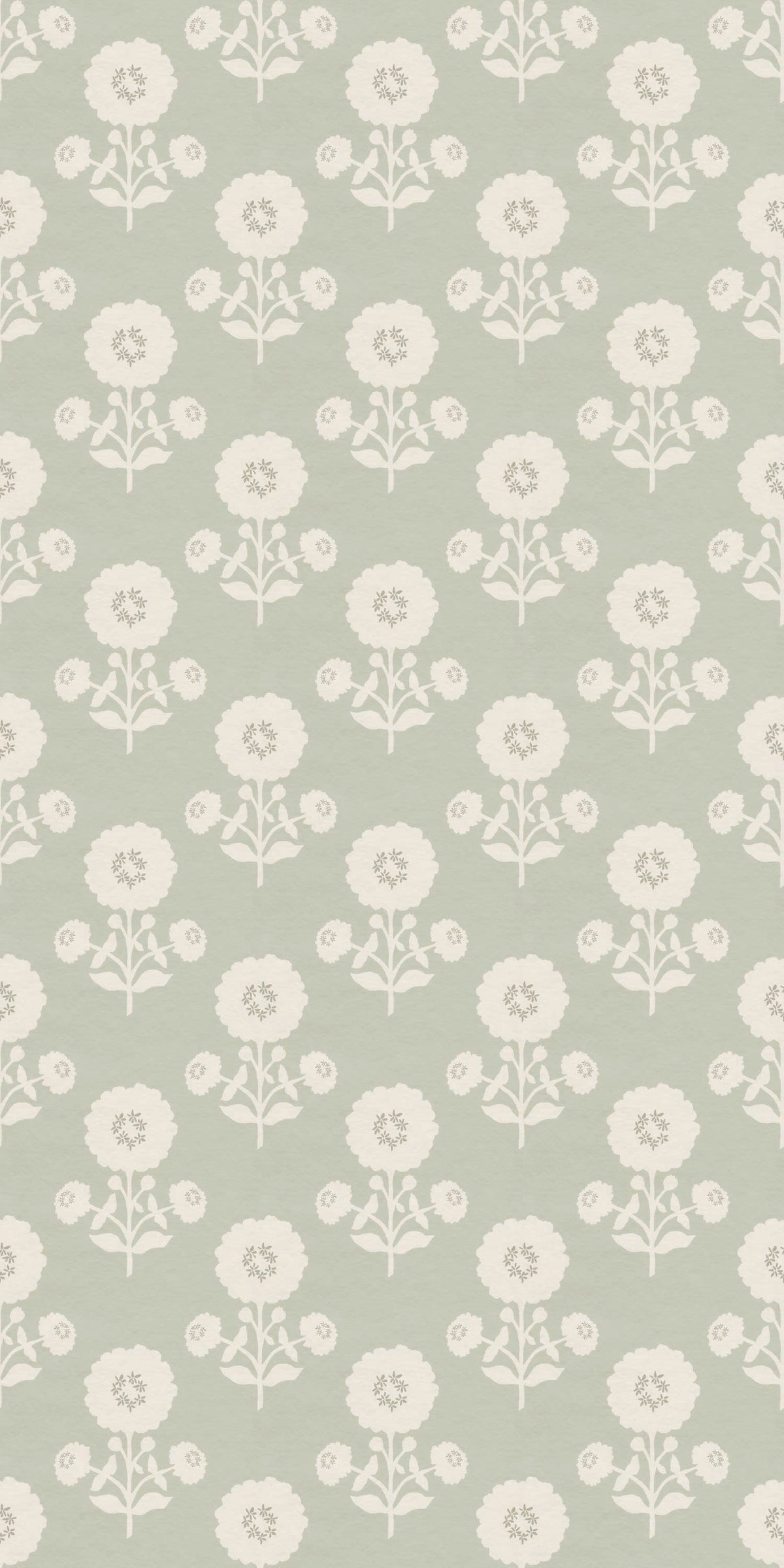 Image of Zinnia in Sage Wallpaper