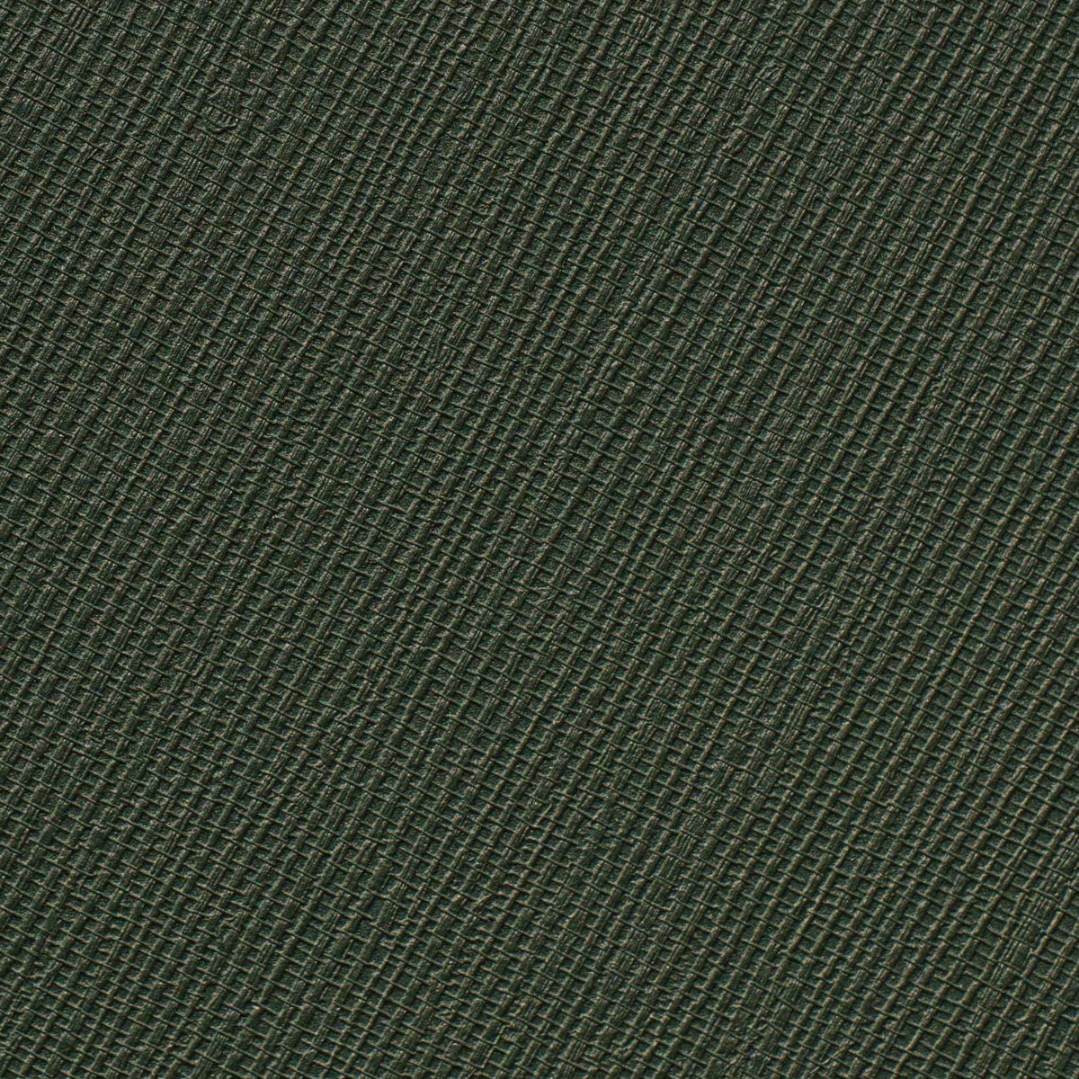 Image of Pine in Pine Wallpaper