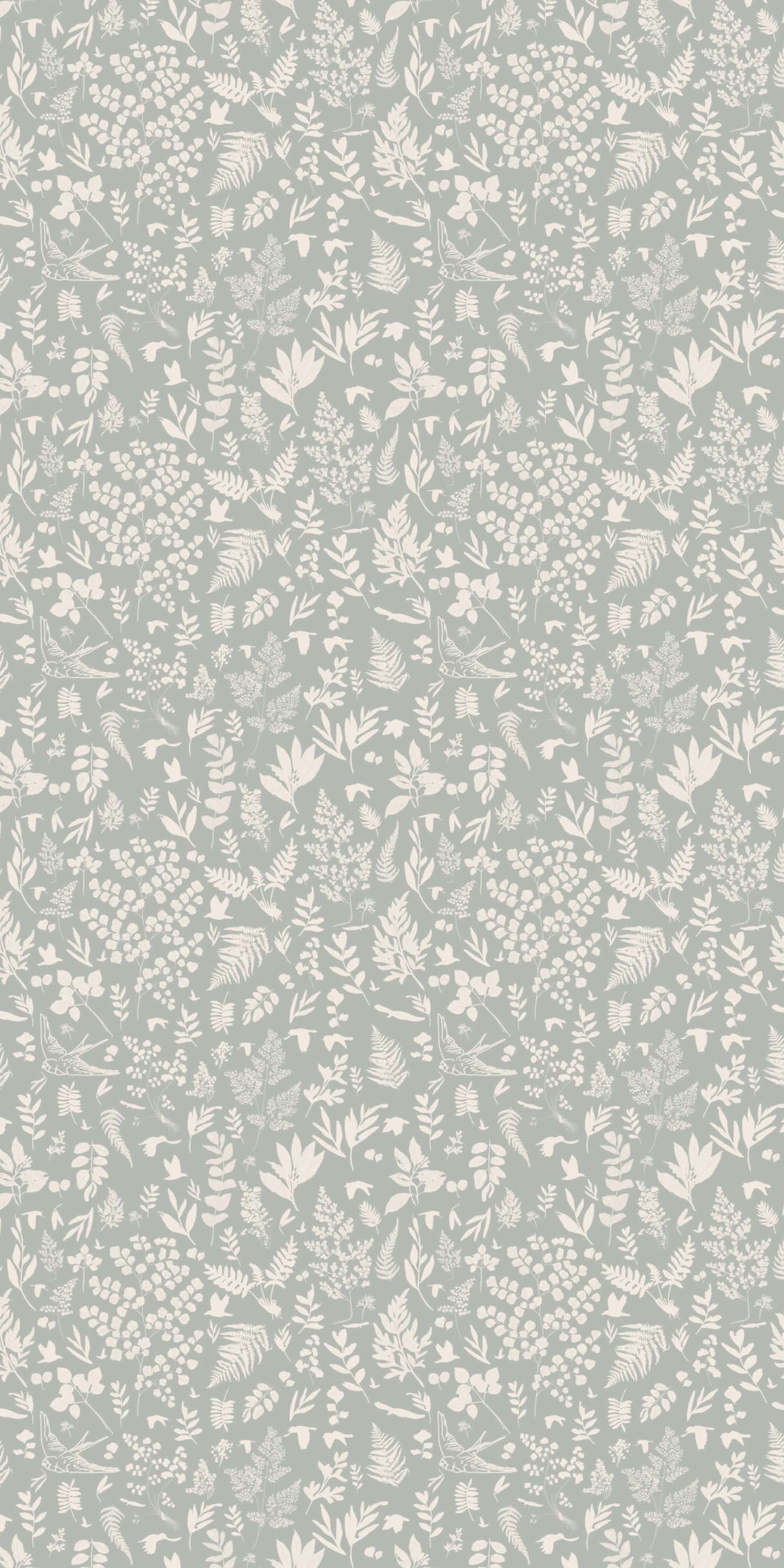 Image of Fern in Powder Wallpaper